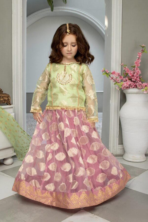Alia - 2-3Y